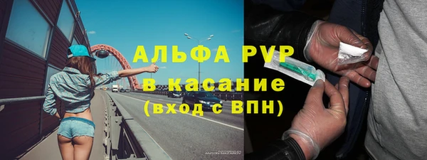 индика Краснотурьинск