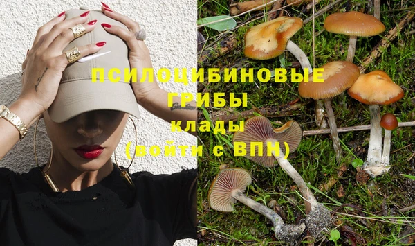 сатива Анива