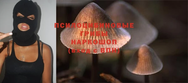 индика Краснотурьинск
