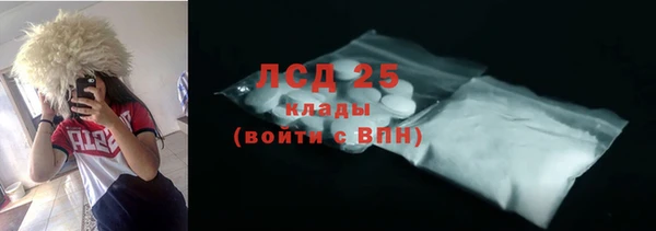 индика Краснотурьинск