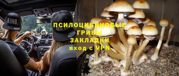 индика Краснотурьинск