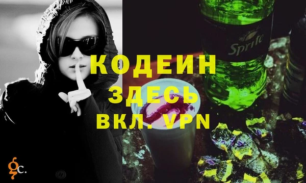 индика Краснотурьинск