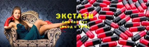 индика Краснотурьинск