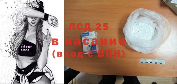 индика Краснотурьинск