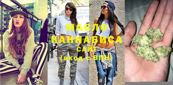 индика Краснотурьинск