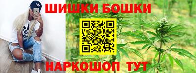 кокс Кингисепп