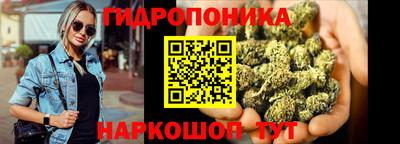 СК Кимры