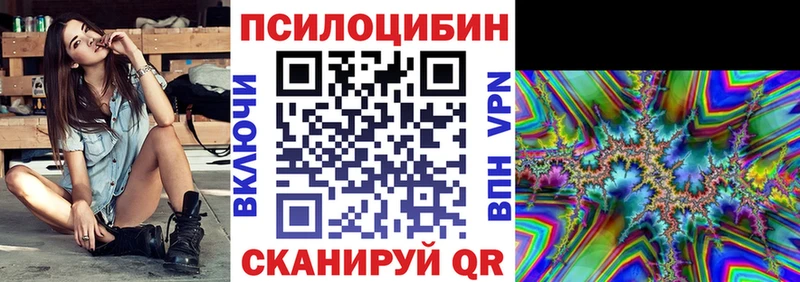 Псилоцибиновые грибы Cubensis  Малоярославец 