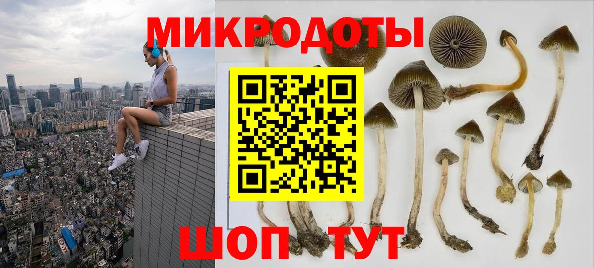 Галлюциногенные грибы Magic Shrooms Малоярославец